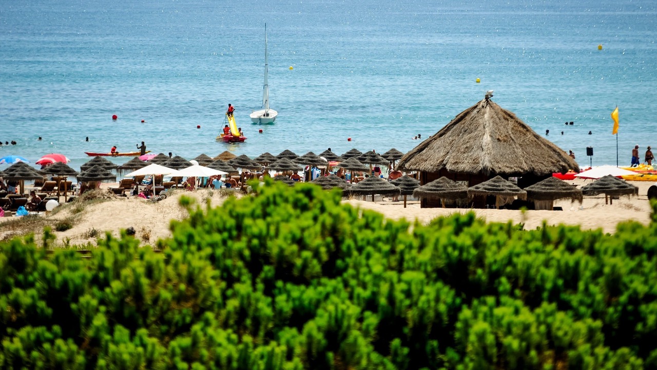 Photo of Others in Muchamiel