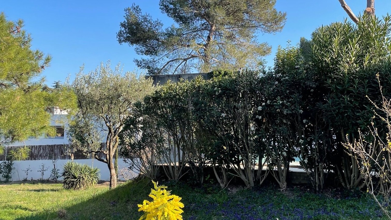 Photo of Outdoor in Langlade