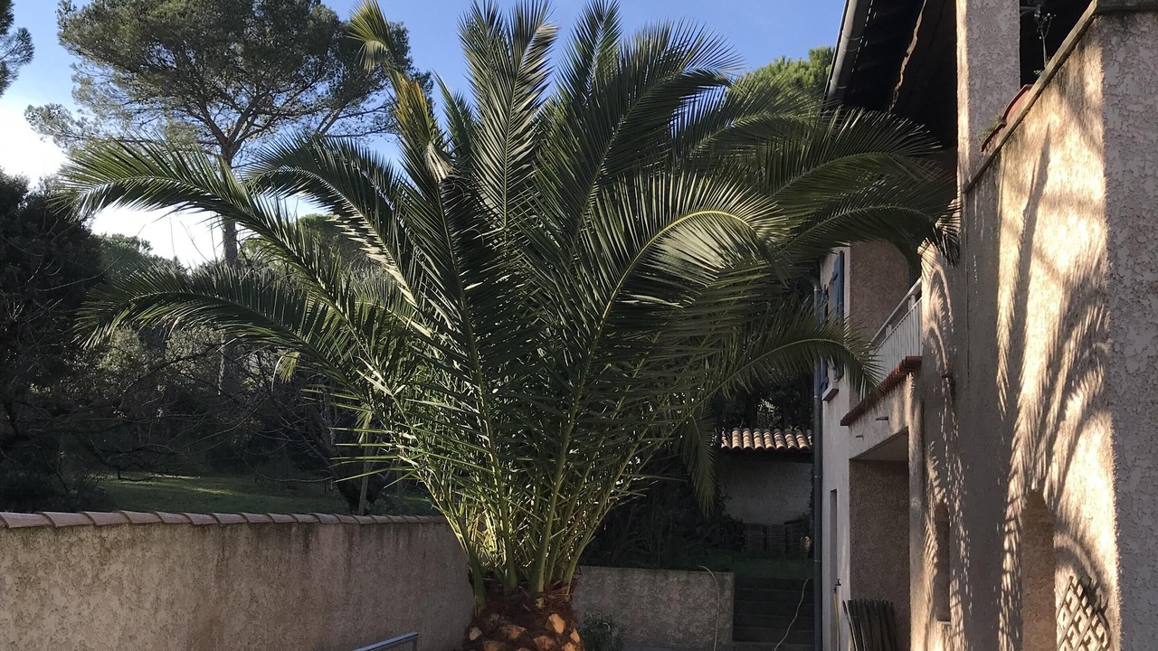 Photo of Patio Balcony in Langlade