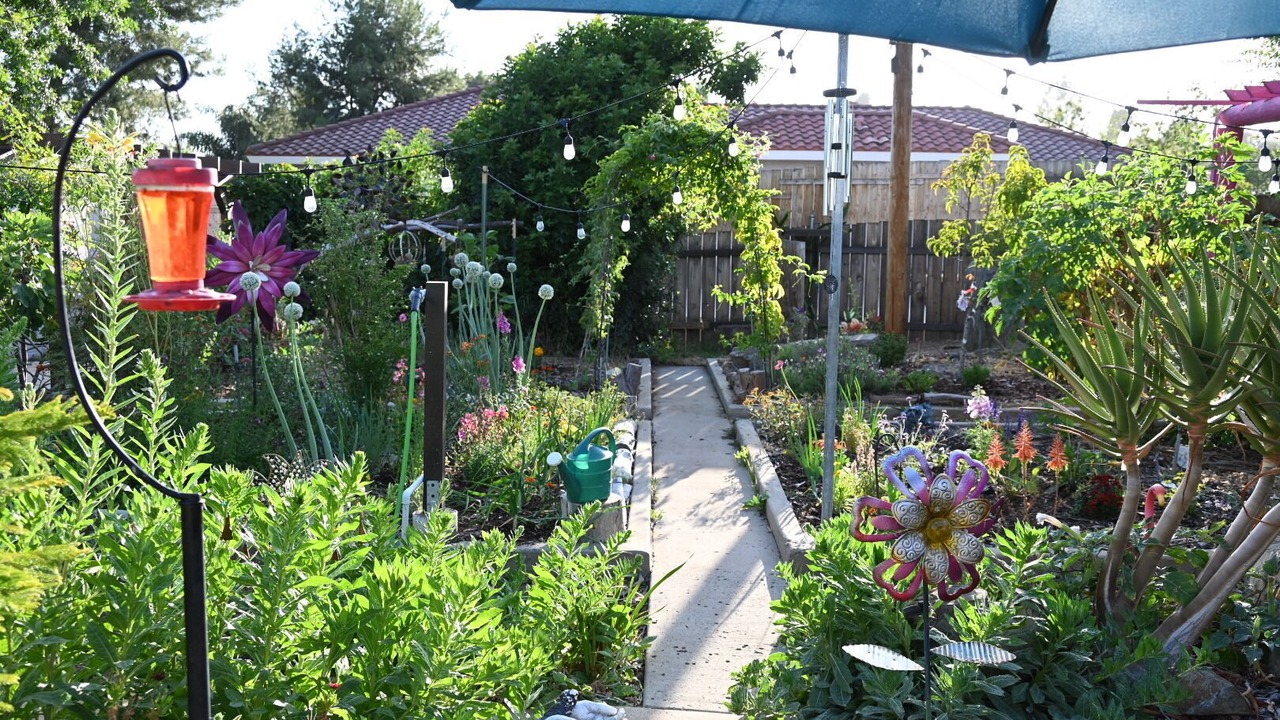 Photo of Outdoor in El Cajon