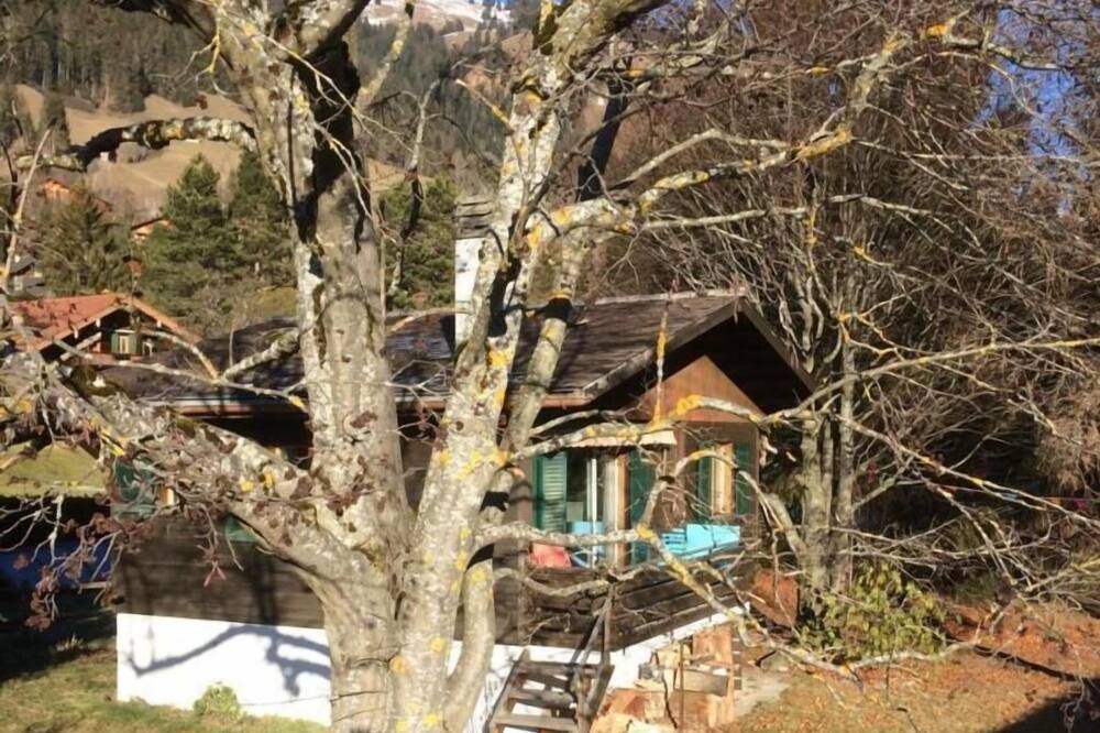 Photo of Outdoor in Rougemont
