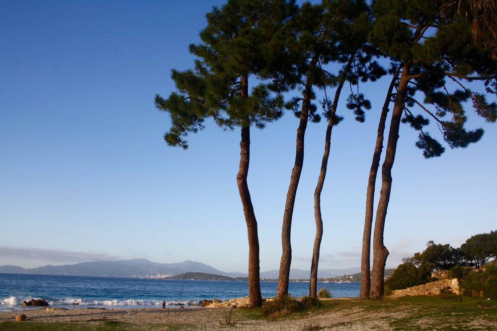 Photo of Others in Molini