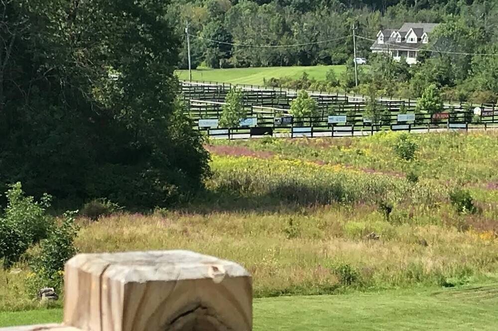 Photo of Others in Saugerties
