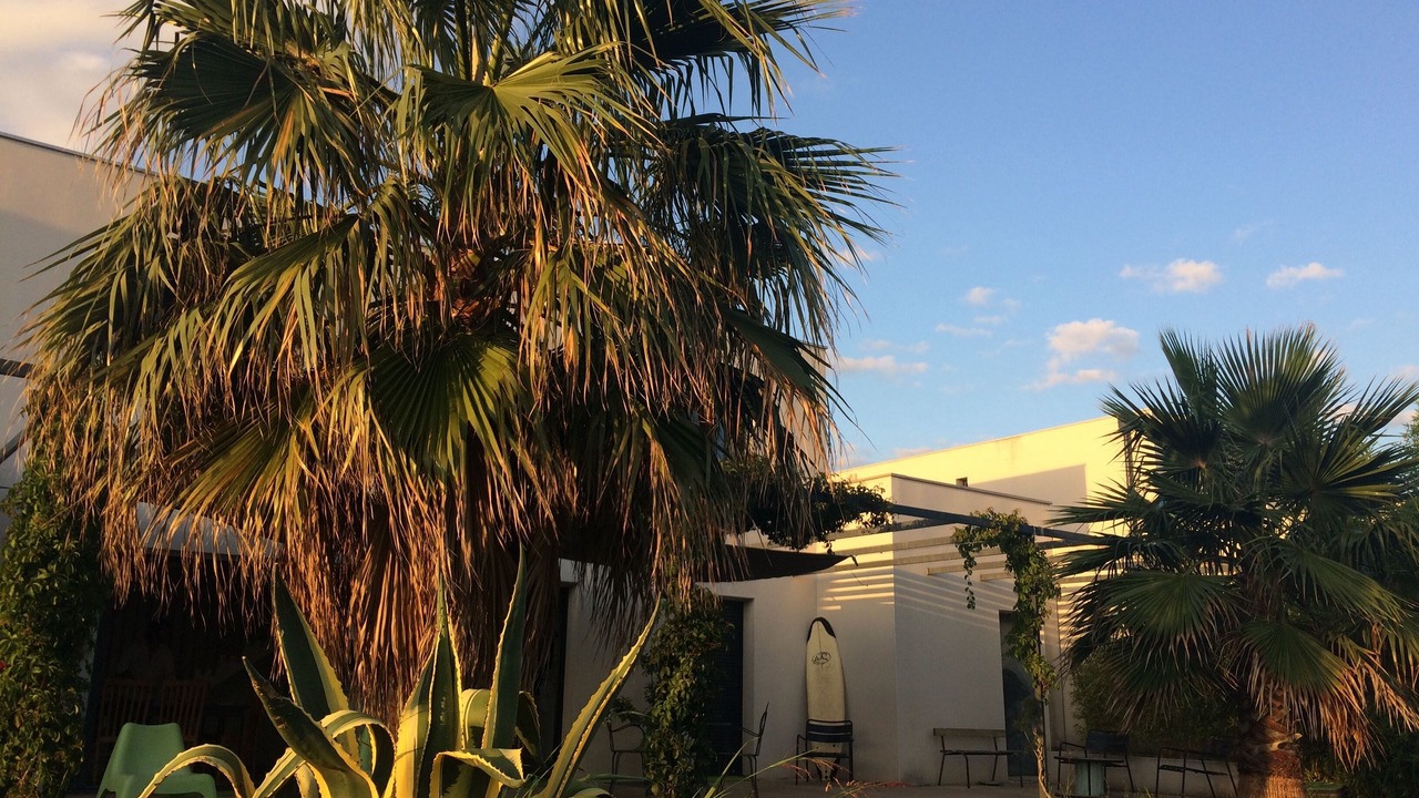 Photo of Outdoor in Villeneuve-les-Maguelone