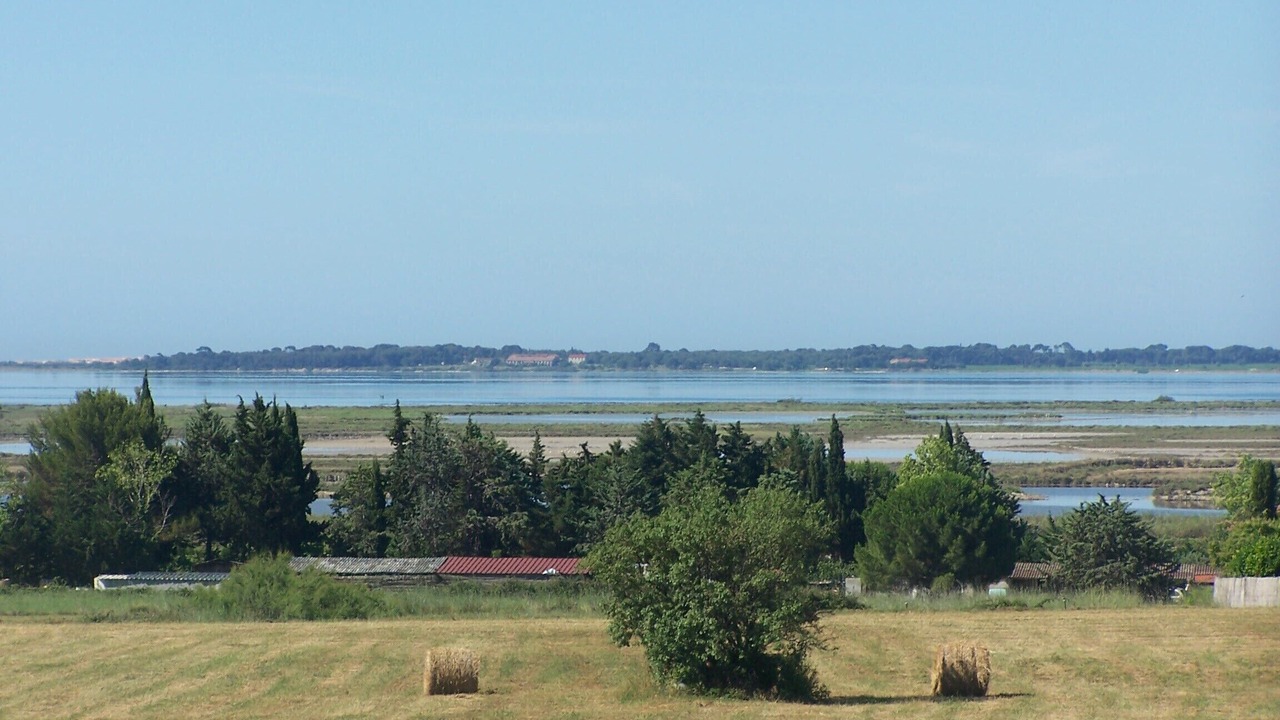 Photo of Others in Villeneuve-les-Maguelone