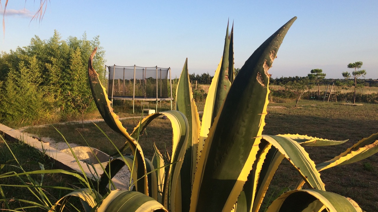 Photo of Others in Villeneuve-les-Maguelone