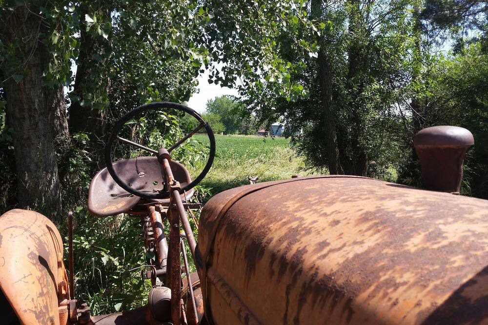 Photo of Others in Saint Libory