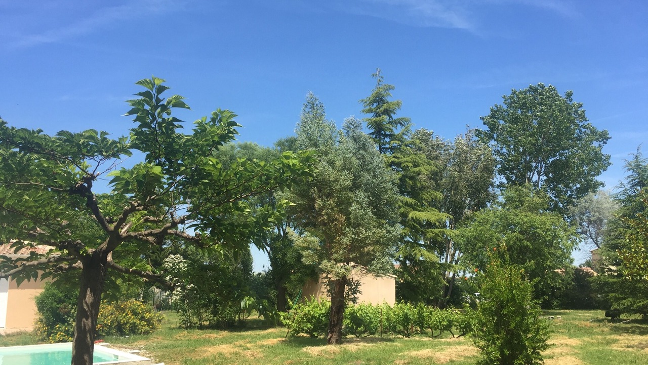 Photo of Outdoor in Saint-Jean-de-Cornies