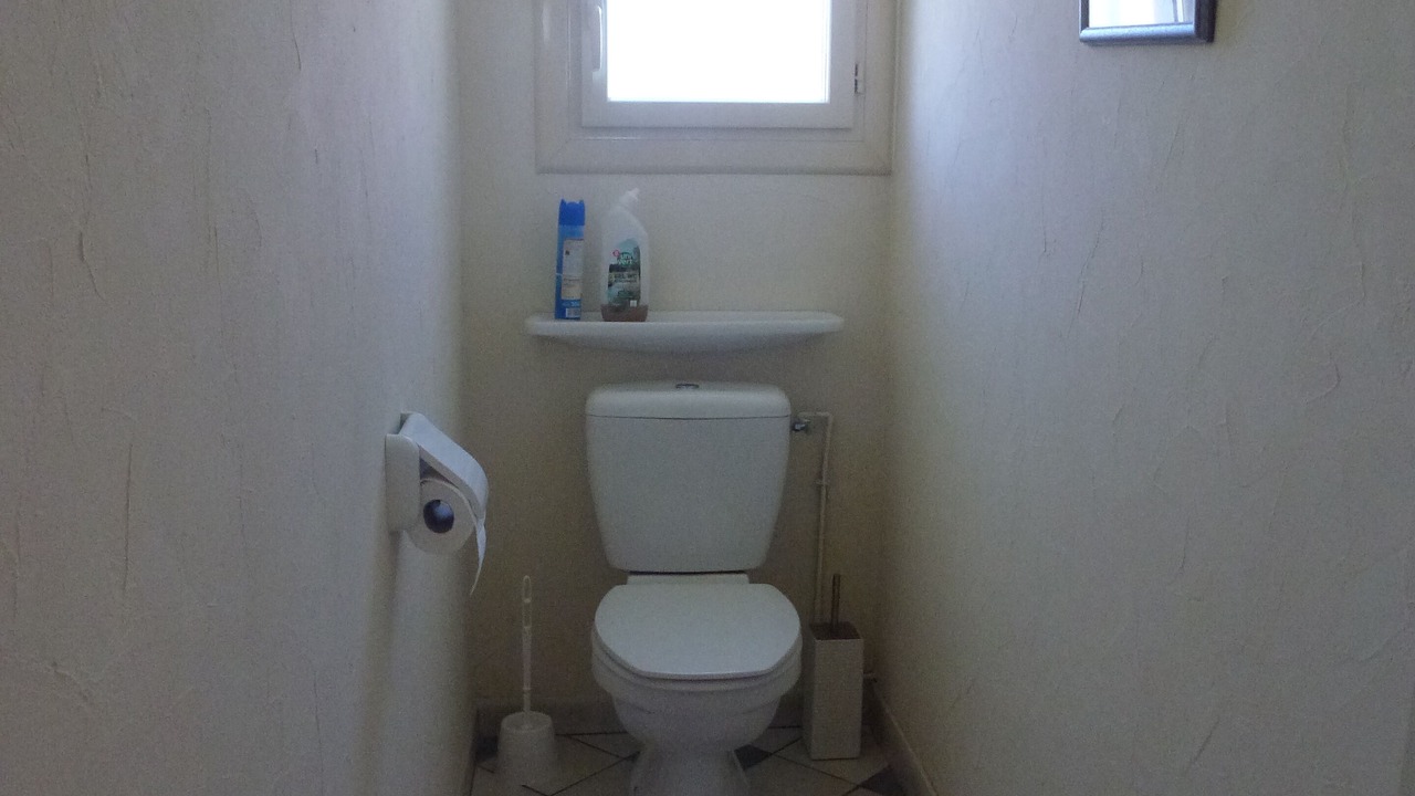 Photo of Others in Oloron-Sainte-Marie