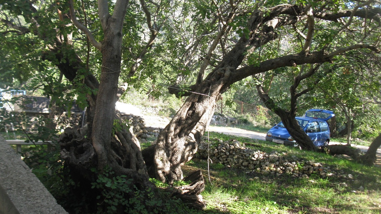 Photo of Outdoor in Komiza