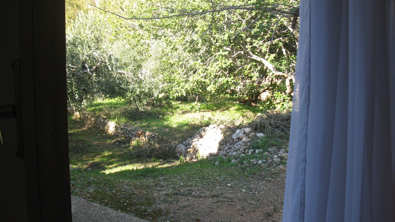 Photo of Others in Komiza
