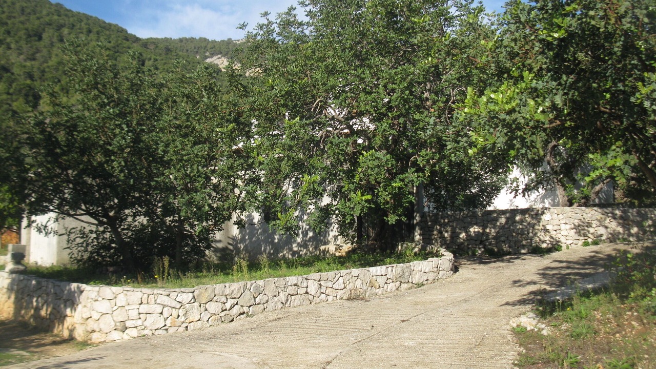Photo of Outdoor in Komiza