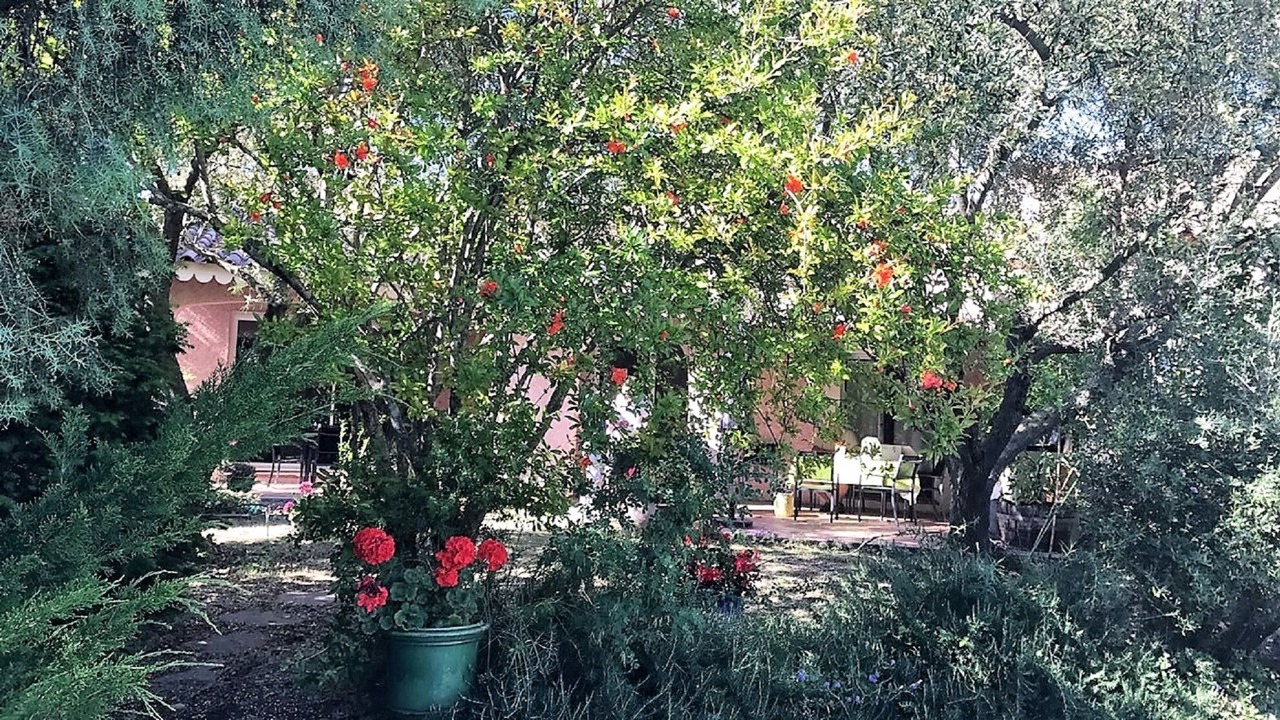 Photo of Outdoor in Guzargues