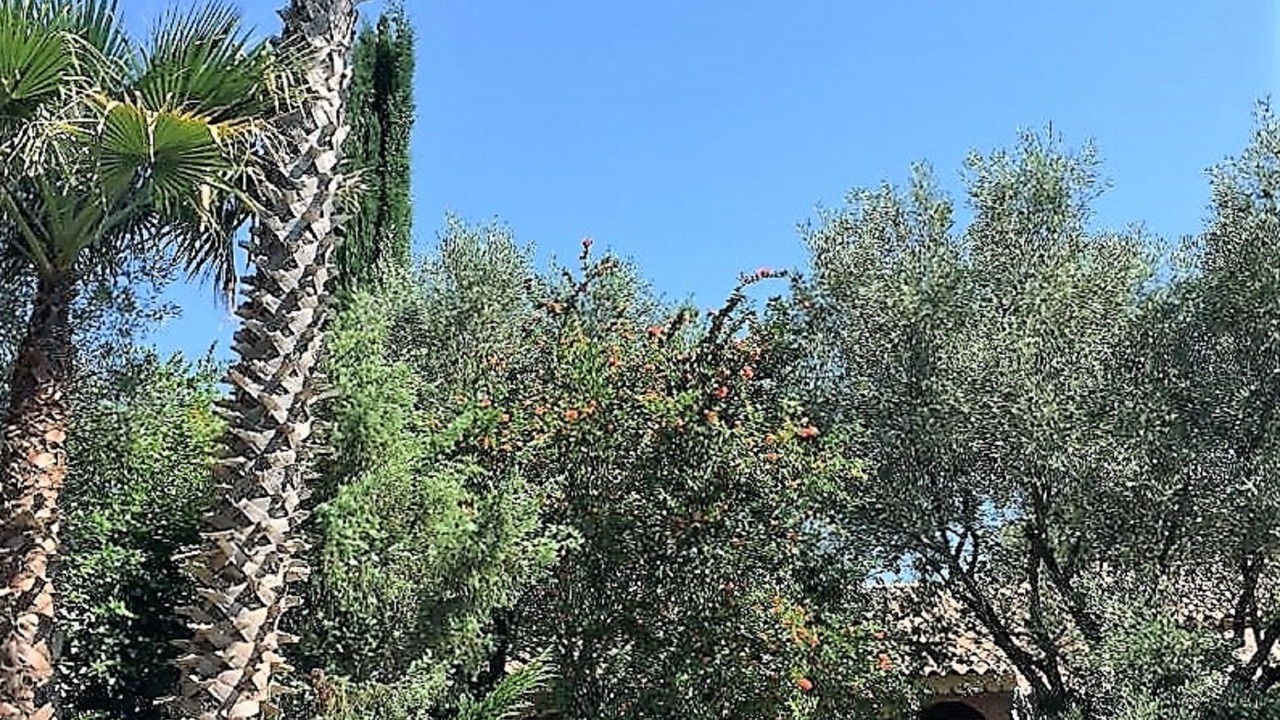 Photo of Outdoor in Guzargues