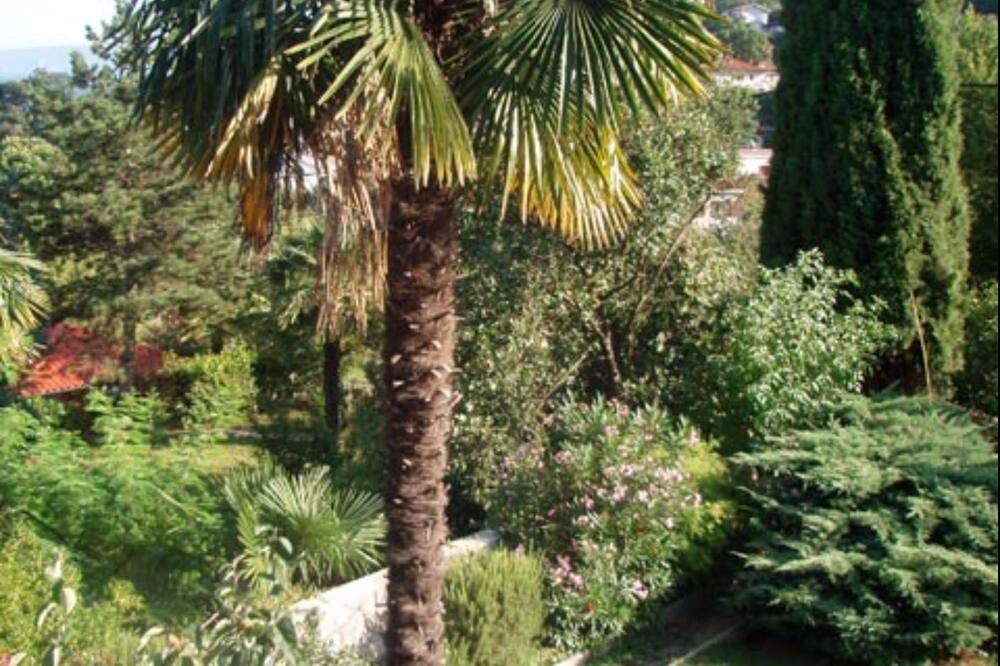 Photo of Outdoor in Icici