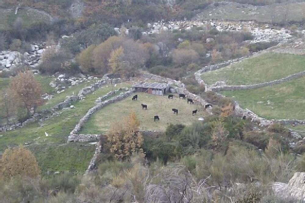 Photo of Outdoor in Cuacos de Yuste
