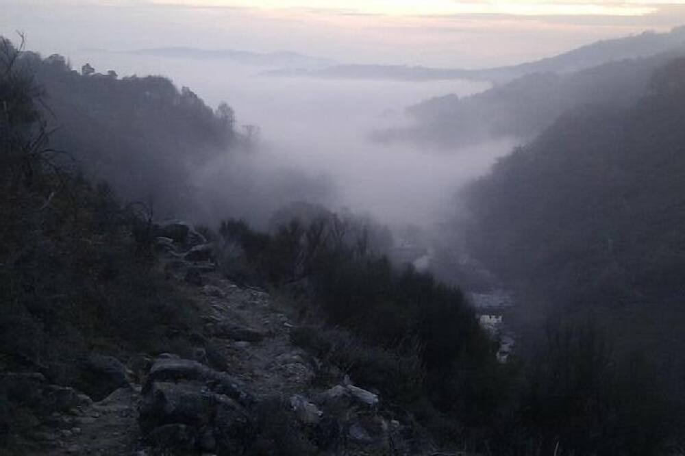 Photo of Others in Cuacos de Yuste