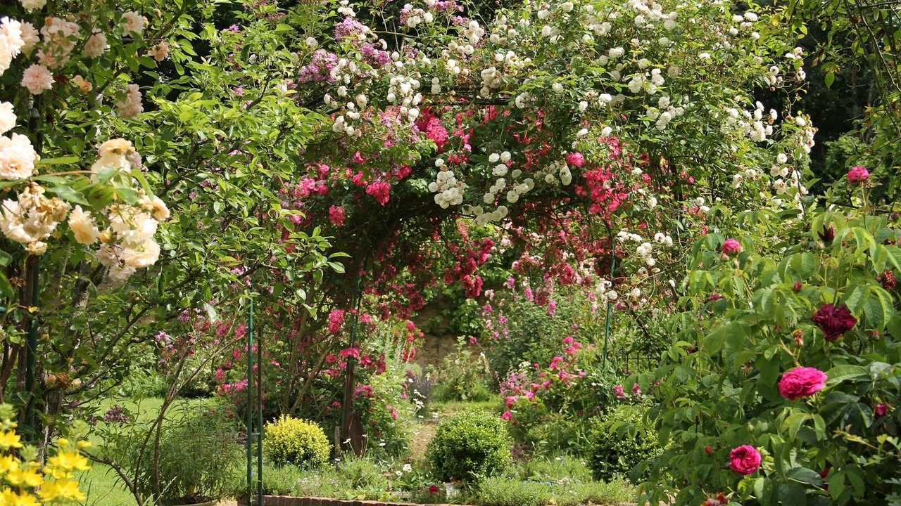 Photo of Outdoor in Le Pin