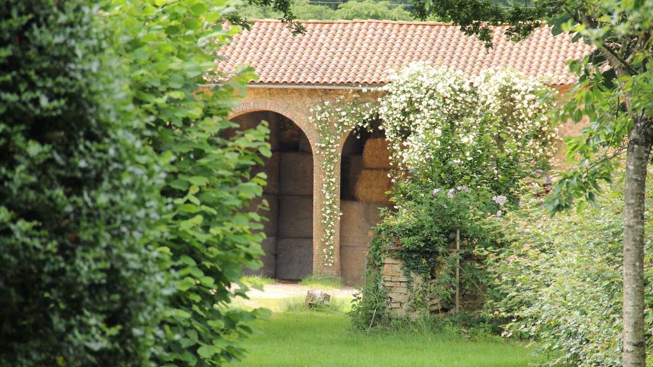 Photo of Outdoor in Le Pin