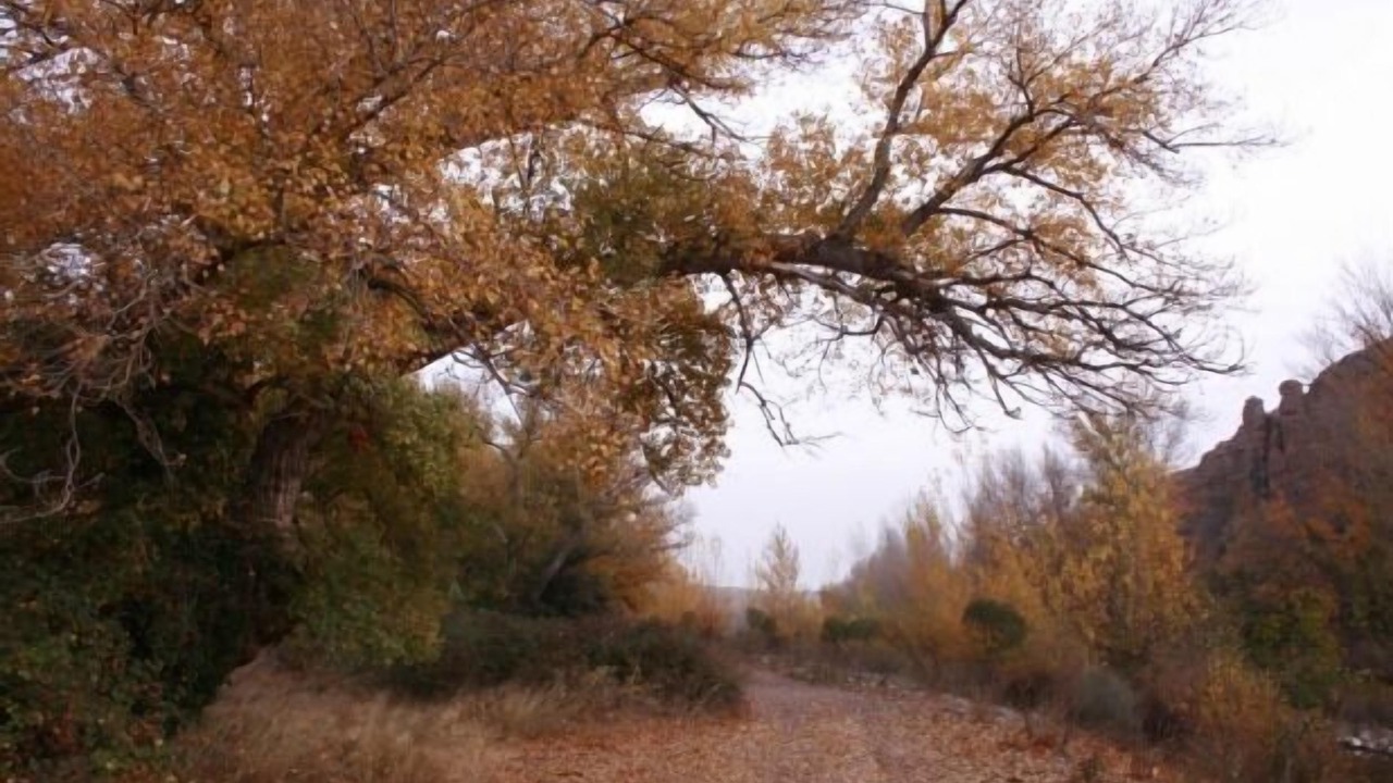 Photo of Outdoor in Azuara
