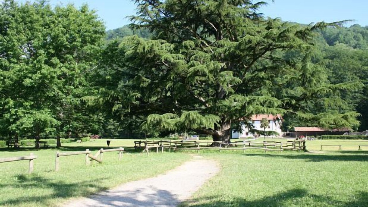 Photo of Outdoor in Elbete