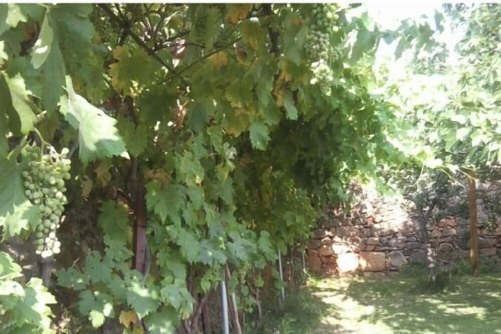Photo of Outdoor in Villasbuenas de Gata