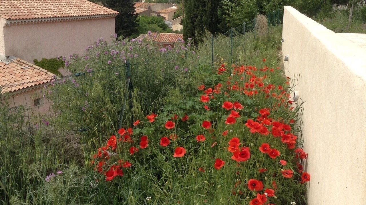 Photo of Outdoor in Peret