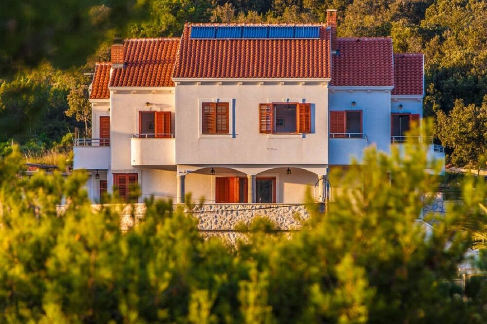 Photo of Outdoor in Molat