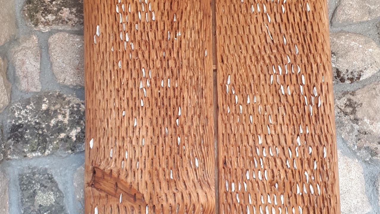 Photo of Others in Casas del Puerto de Villatoro