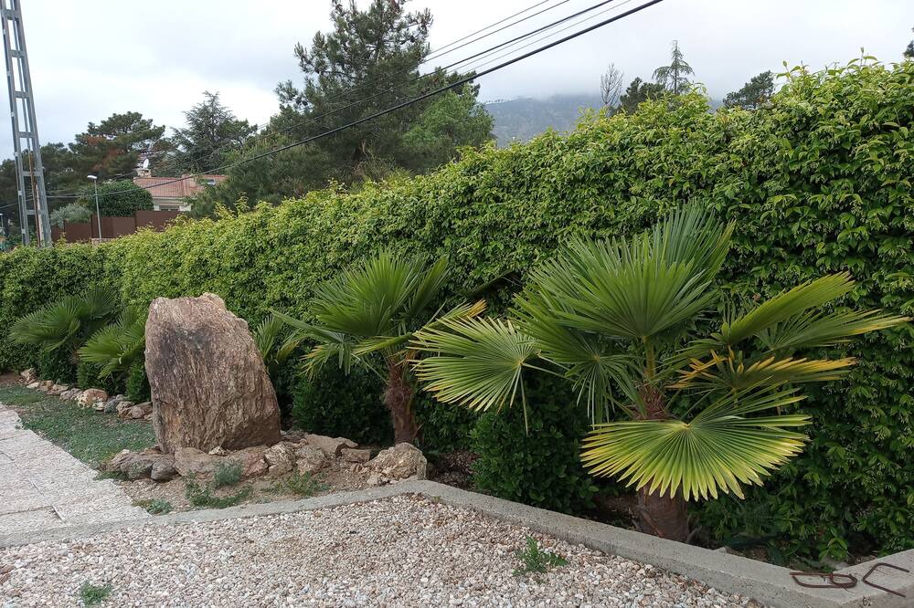 Photo of Outdoor in Robledo de Chavela