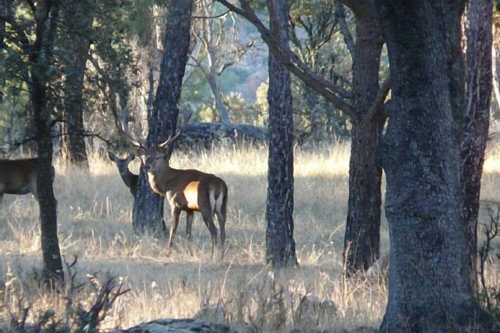 Photo of Outdoor in Robledo de Chavela