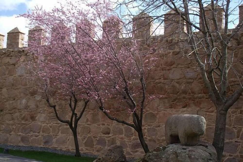 Photo of Outdoor in Robledo de Chavela
