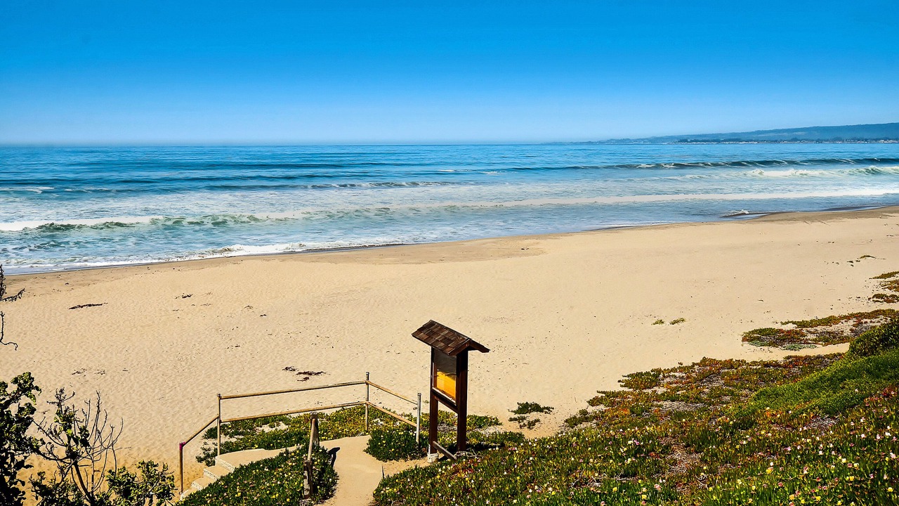 Photo of Others in La Selva Beach