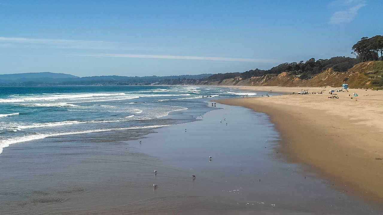 Photo of Others in La Selva Beach