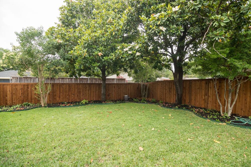 Photo of Others in Plano