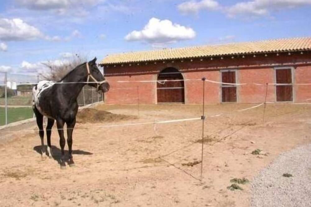 Photo of Others in Els Plans de Sio