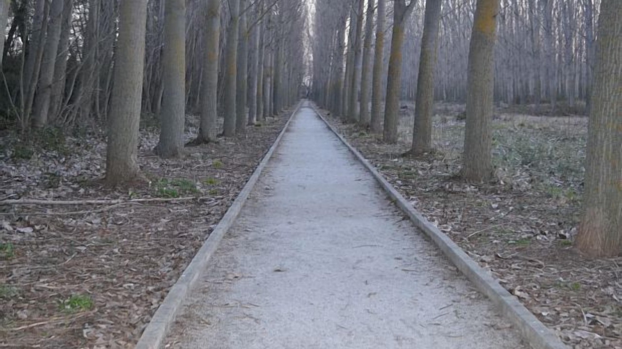 Photo of Outdoor in Talamanca de Jarama