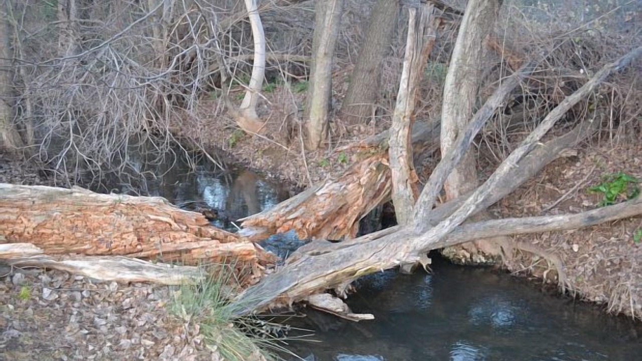 Photo of Outdoor in Talamanca de Jarama