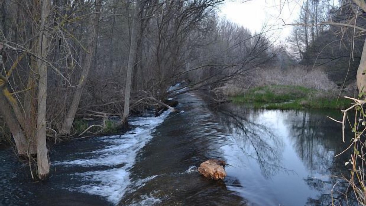 Photo of Outdoor in Talamanca de Jarama
