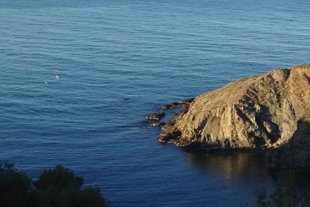Photo of Others in Banyuls-sur-Mer