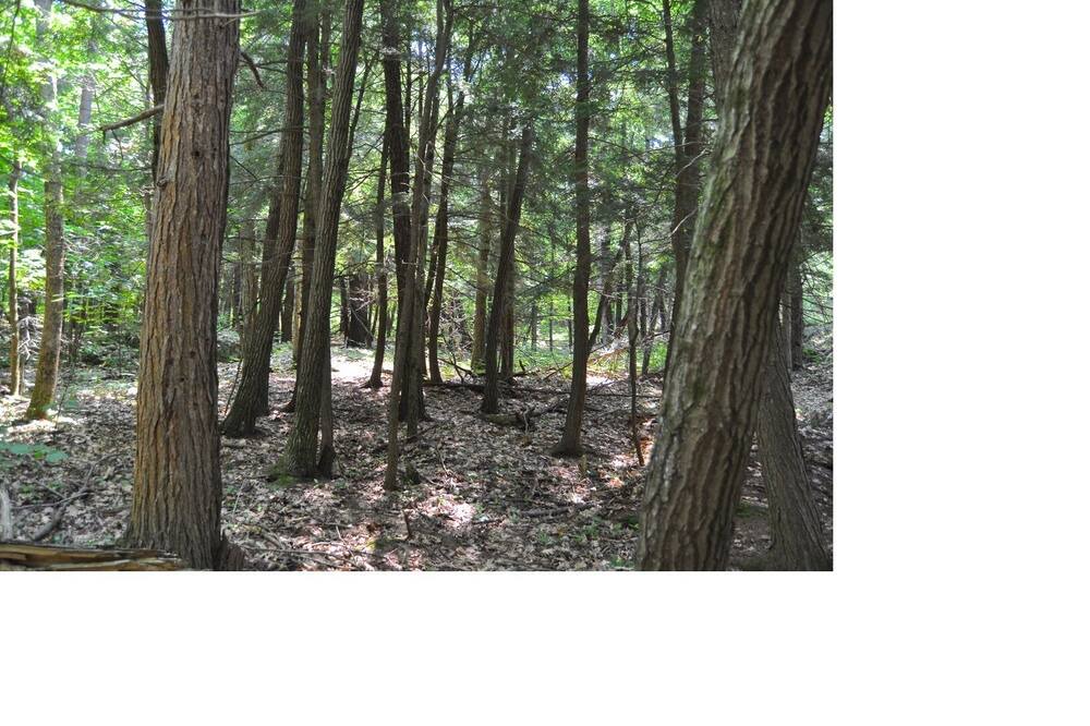 Photo of Others in Broadbent