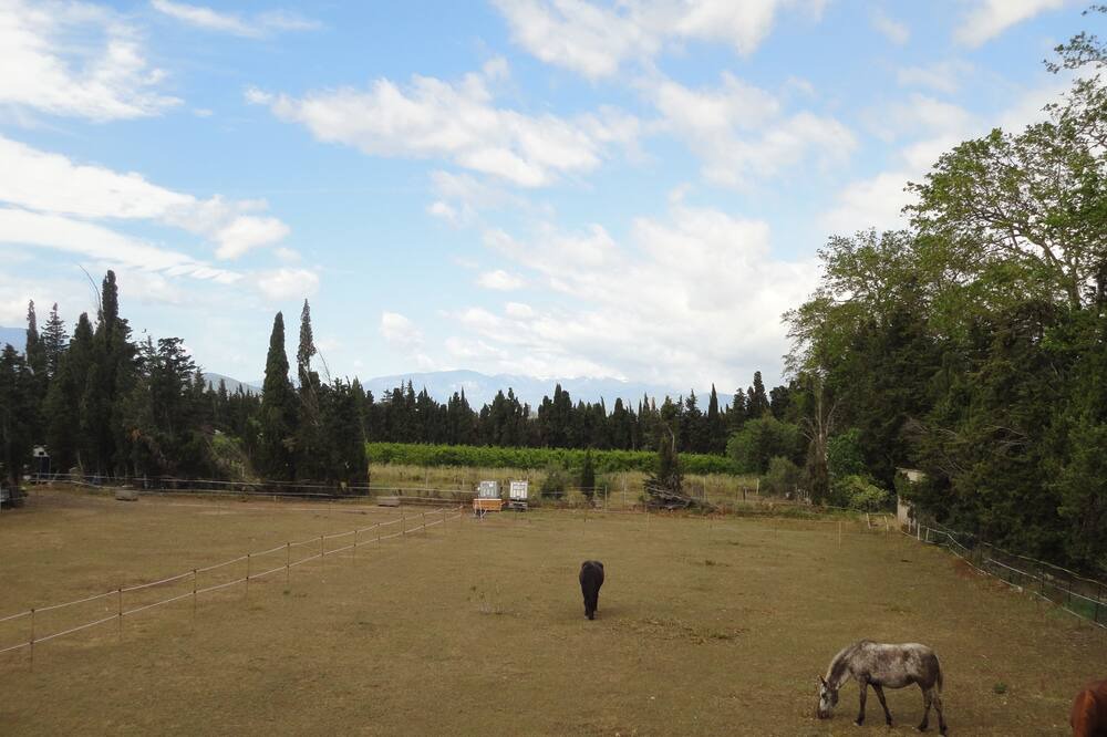 Photo of Outdoor in Saint-Feliu-d'Avall