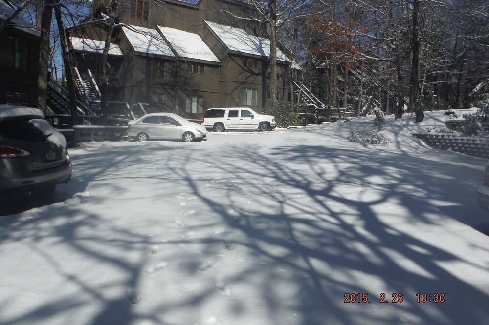 Photo of Others in Big Canoe