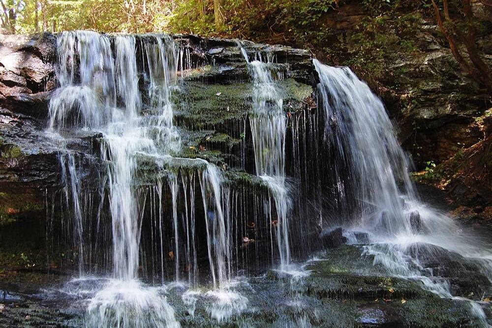 Photo of Others in Big Canoe