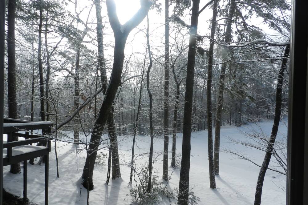 Photo of Others in Big Canoe