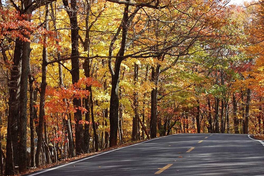 Photo of Others in Big Canoe