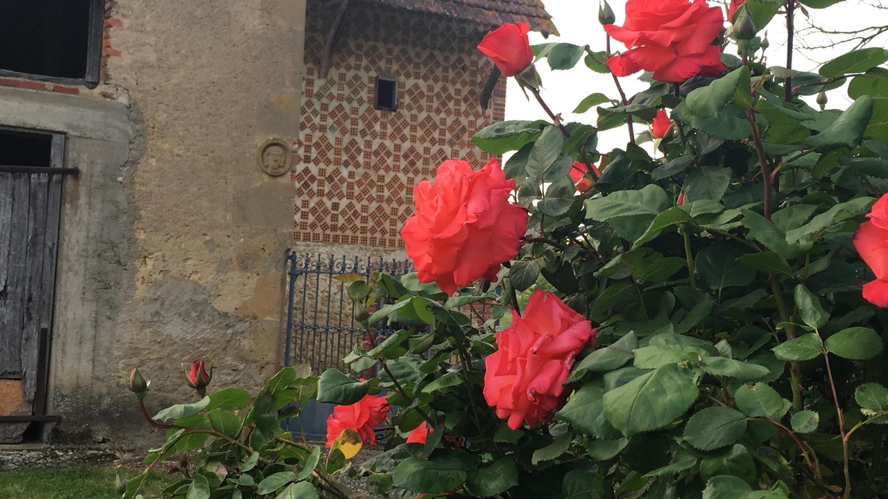 Photo of Outdoor in Ladeveze-Riviere