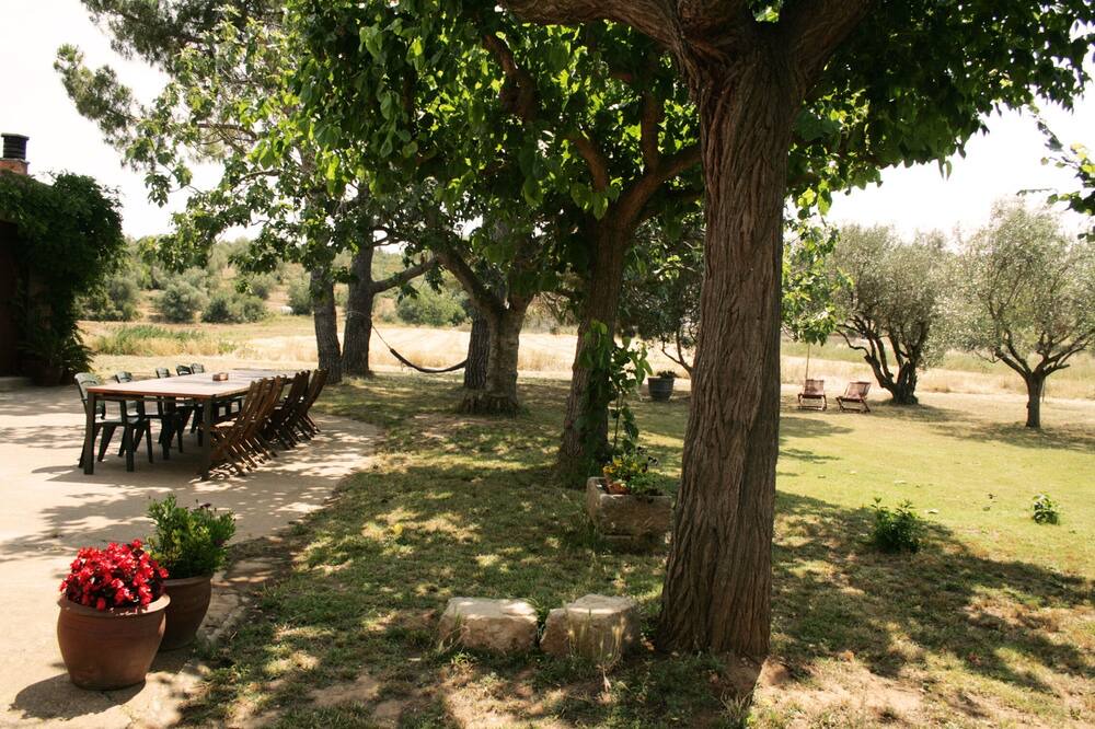 Photo of Outdoor in Torroella de Montgri