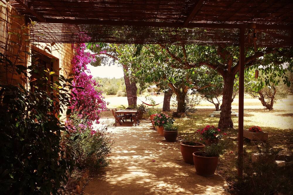 Photo of Outdoor in Torroella de Montgri