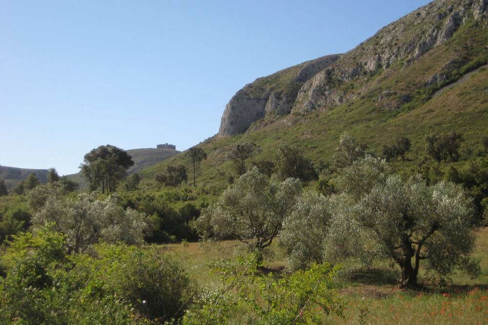 Photo of Outdoor in Torroella de Montgri